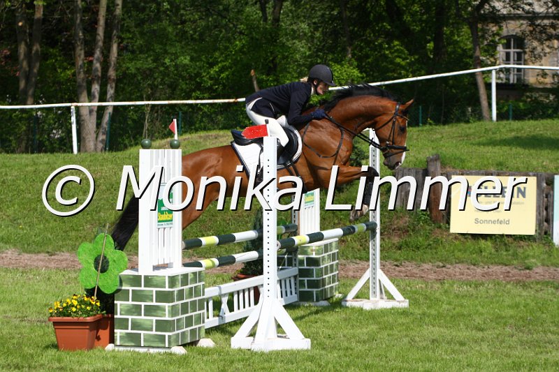 005M4325_Laico_Stil A.JPG